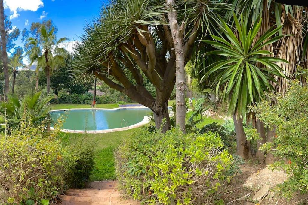 Klimatyczny Loft I Egzotyczny Basen Διαμέρισμα Benalmádena Εξωτερικό φωτογραφία