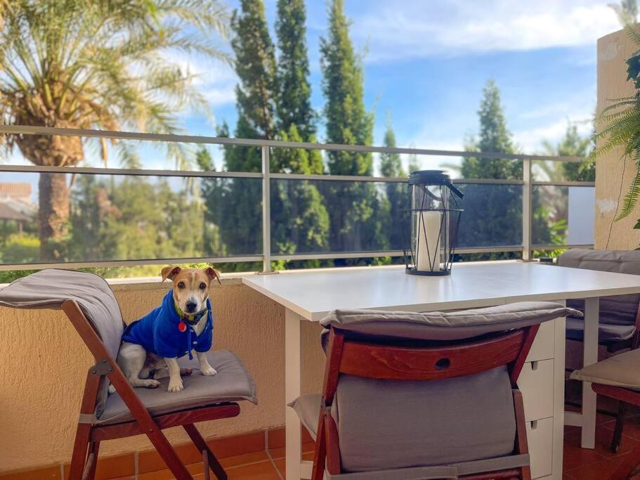 Klimatyczny Loft I Egzotyczny Basen Διαμέρισμα Benalmádena Εξωτερικό φωτογραφία