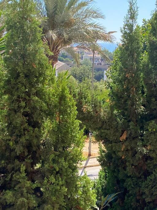Klimatyczny Loft I Egzotyczny Basen Διαμέρισμα Benalmádena Εξωτερικό φωτογραφία