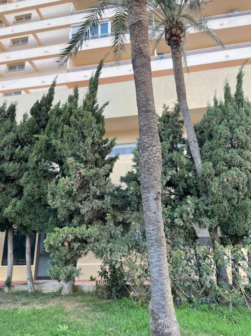 Klimatyczny Loft I Egzotyczny Basen Διαμέρισμα Benalmádena Εξωτερικό φωτογραφία