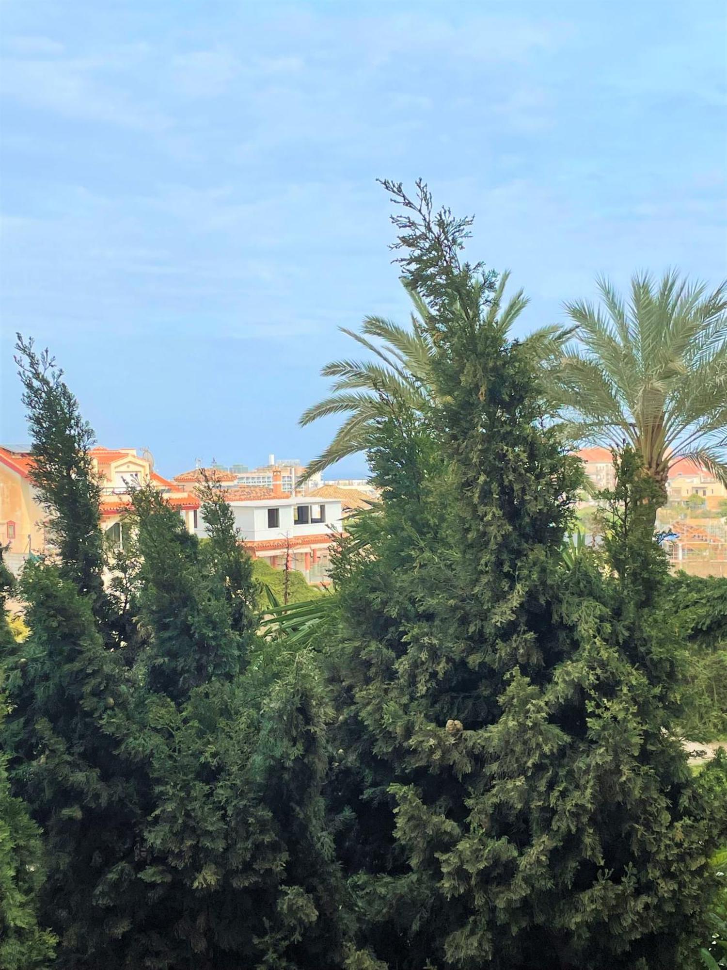 Klimatyczny Loft I Egzotyczny Basen Διαμέρισμα Benalmádena Εξωτερικό φωτογραφία